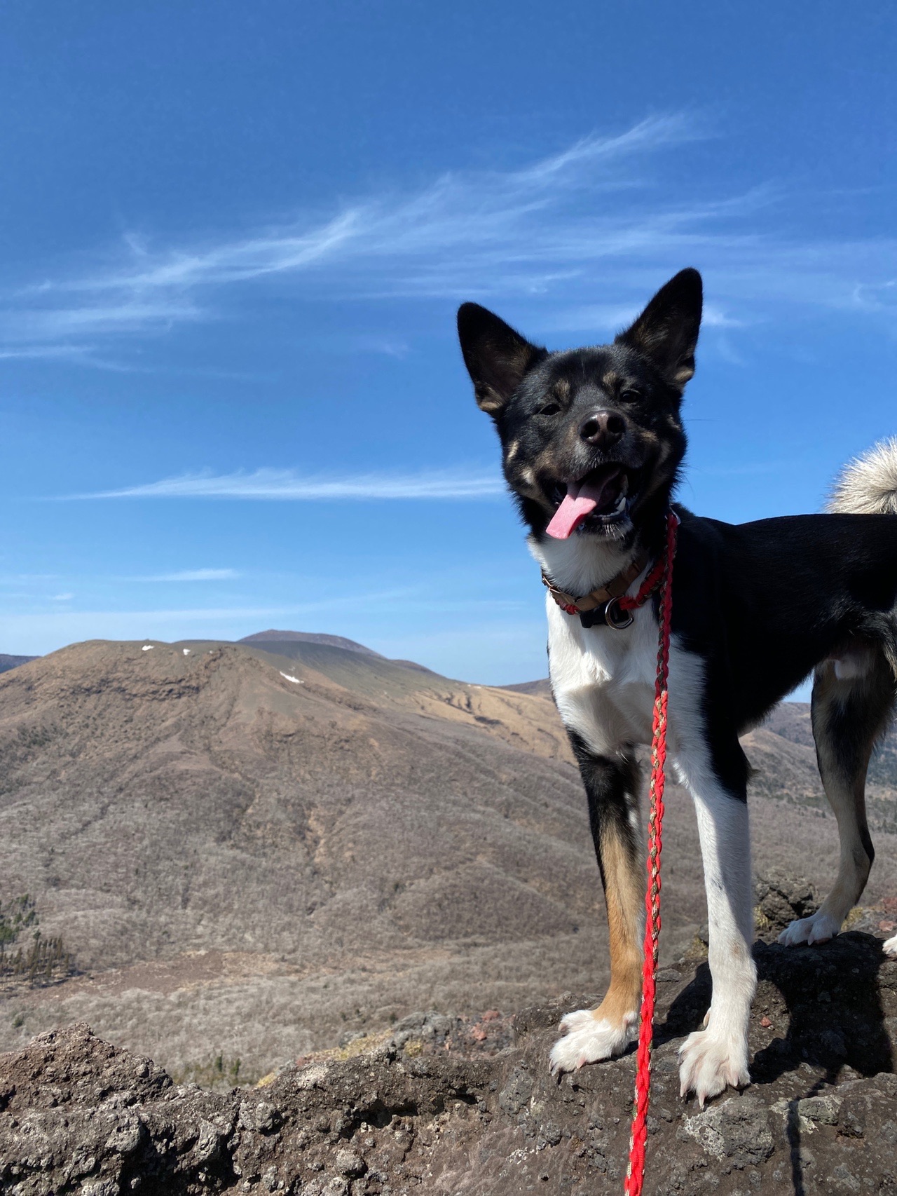 犬 子連れ登山 高千穂峰 02 24 リシェスさんの霧島山 韓国岳 高千穂峰 夷守岳 烏帽子岳の活動データ Yamap ヤマップ