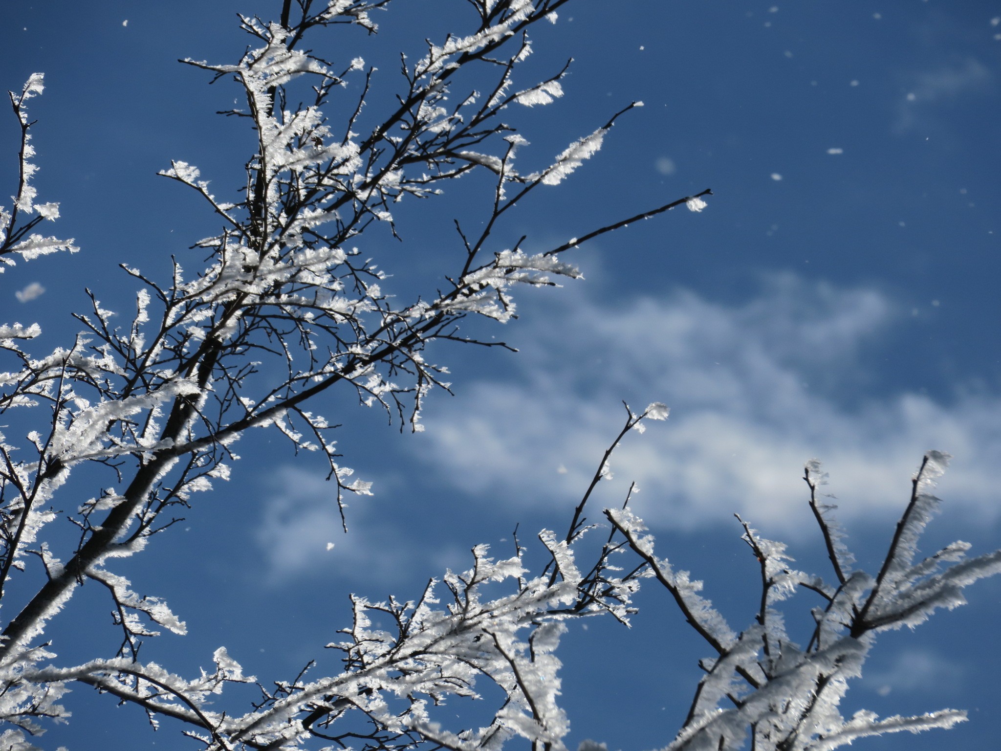 冬の上高地 まさに神が降り立つ地 神降地 くてぃんさんの槍ヶ岳 穂高岳 上高地の活動日記 Yamap ヤマップ