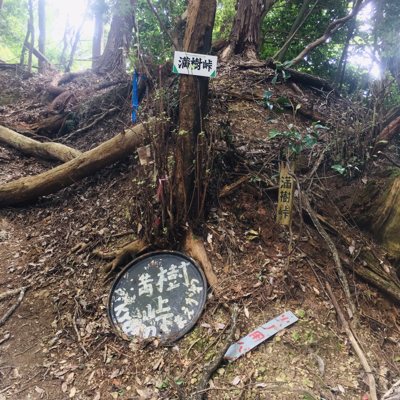 十三石山 往復 ノラさんの十三石山 釈迦谷山 沢山の活動データ Yamap ヤマップ