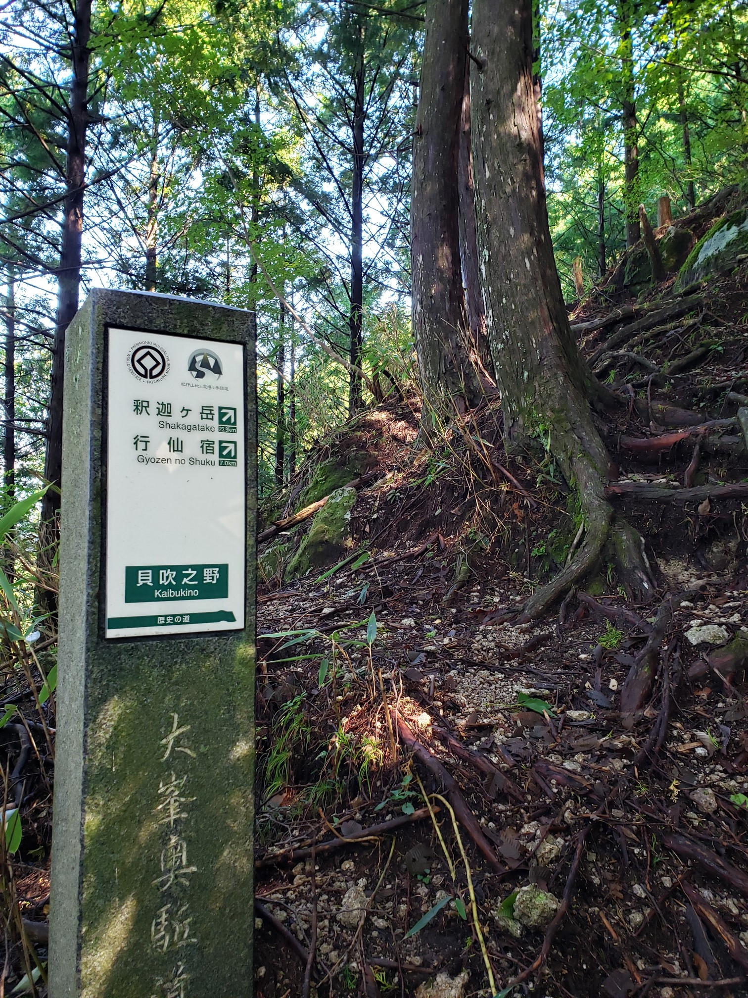 山行記 ２０１８年 川崎ハイキングクラブ