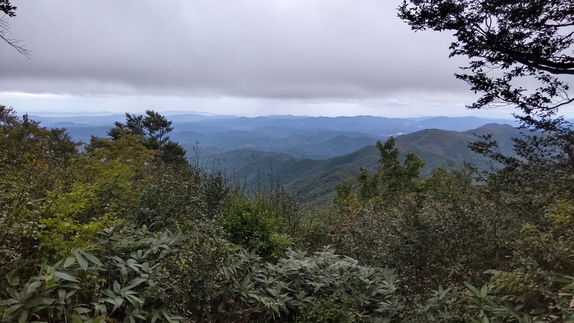 大万木山 / HARAPさんの大万木山・琴引山（弥山）・指谷山・鯛ノ巣山の活動データ YAMAP / ヤマップ