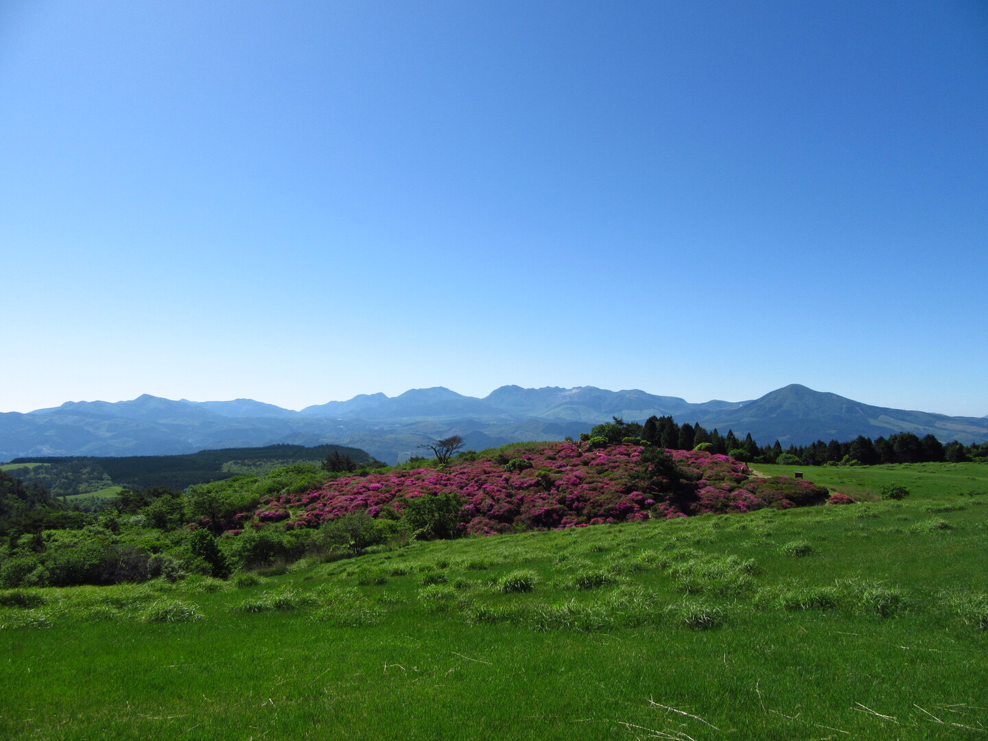 万年山