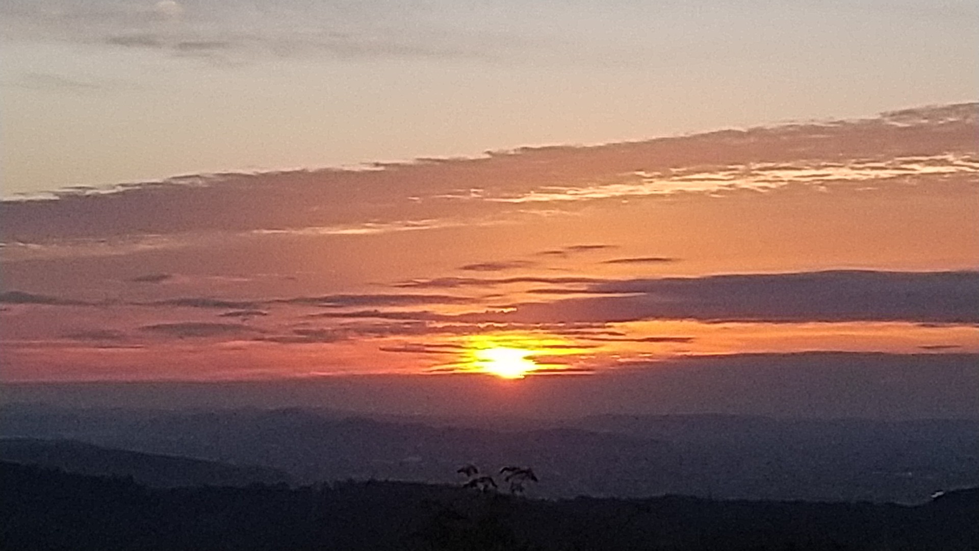 福山 岡山県総社市 日の出 No 98 09 19 よしまっちゃんさんの福山 岡山県総社市 の活動データ Yamap ヤマップ
