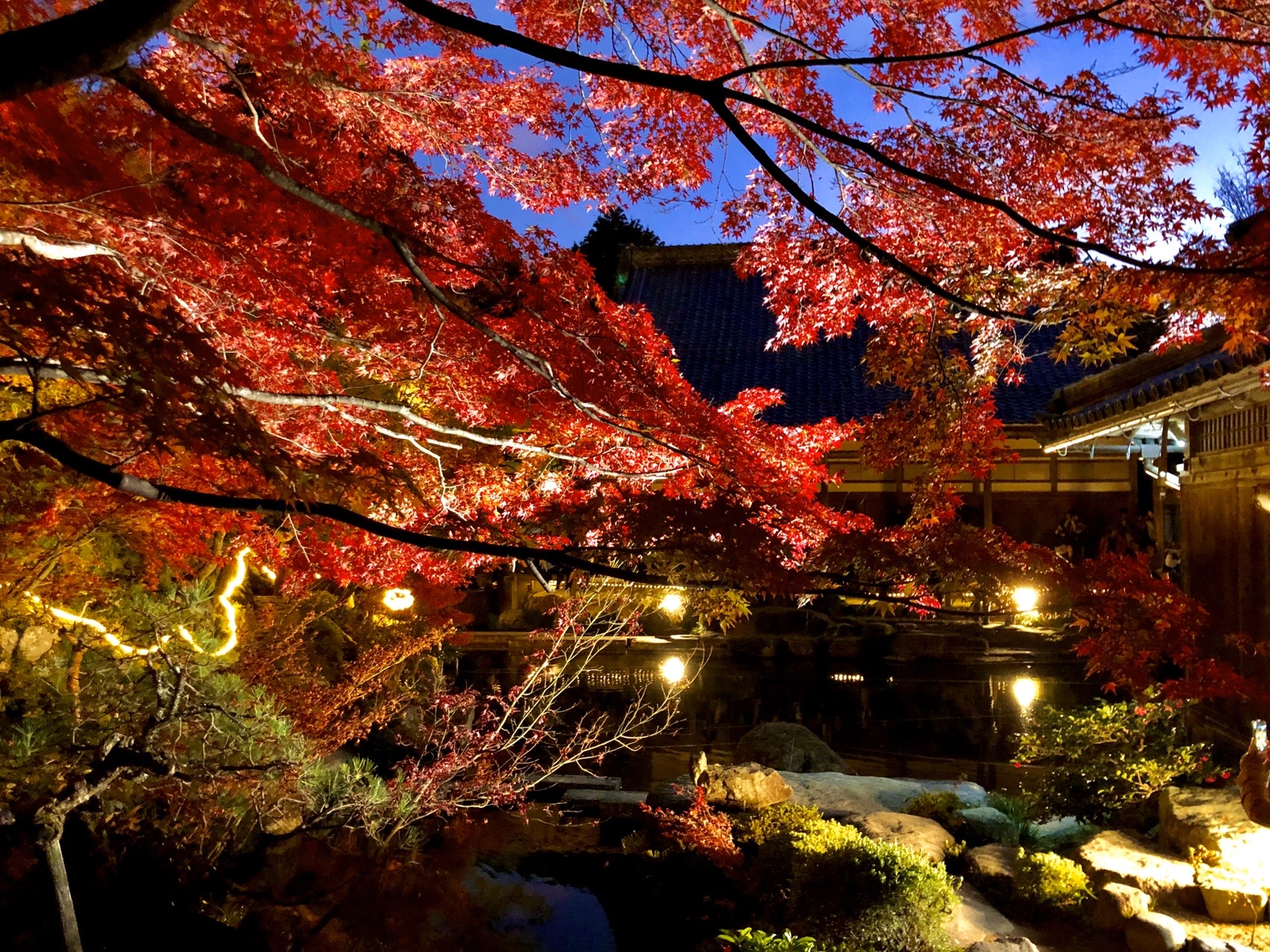 釈迦山 百済寺 夕暮れ紅葉 狩り まっつんさんの日本コバの活動データ Yamap ヤマップ