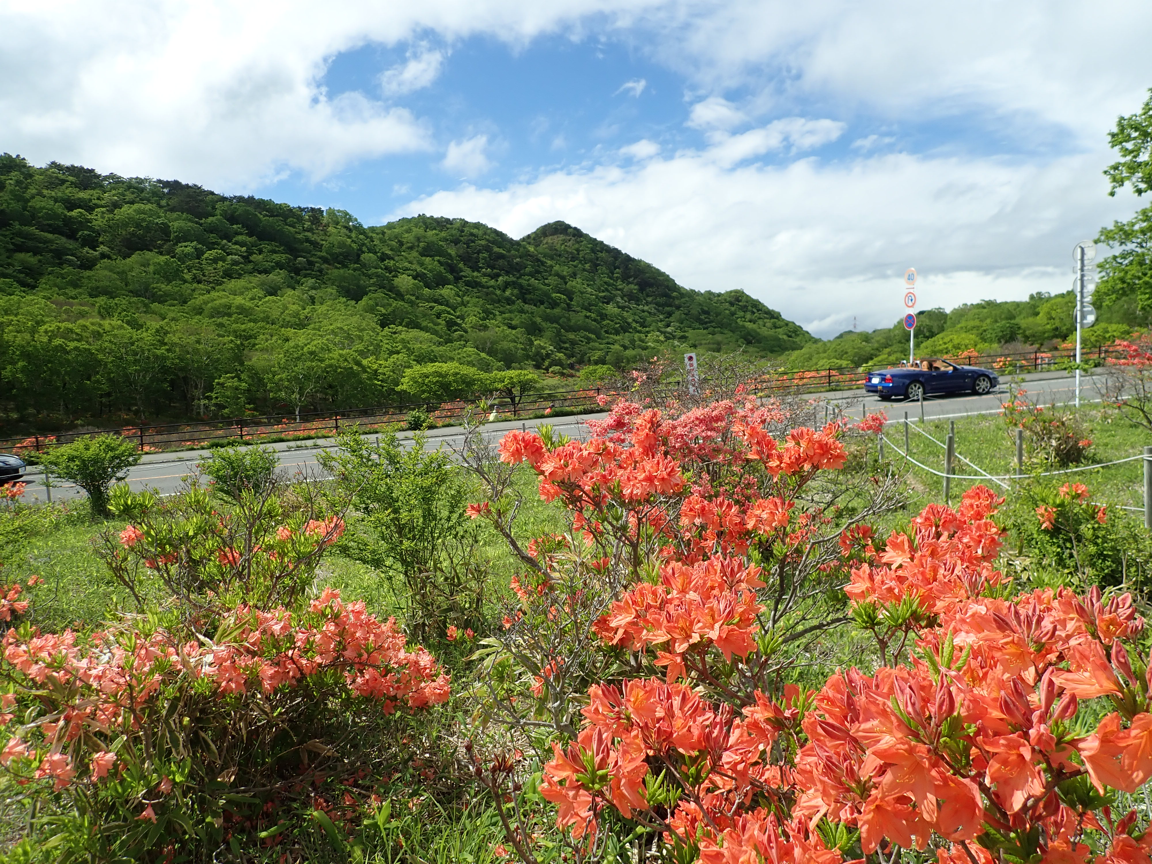 赤城山ツツジめぐりハイキング 時偶山歩さんの赤城山 黒檜山 荒山の活動データ Yamap ヤマップ