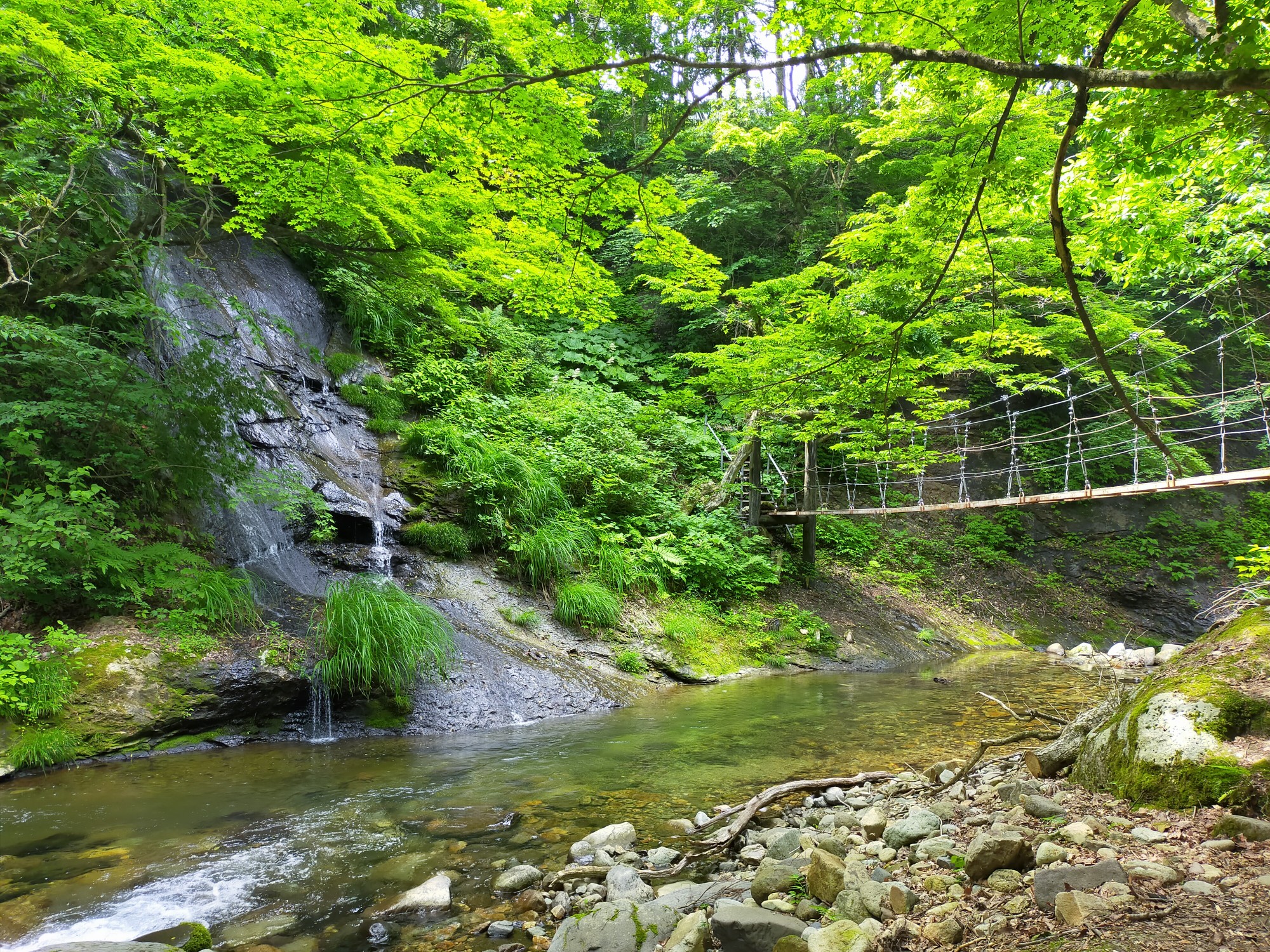面白山 紅葉川渓谷ハイキングコース さささんの面白山 神室岳 大東岳 雨呼山の活動データ Yamap ヤマップ