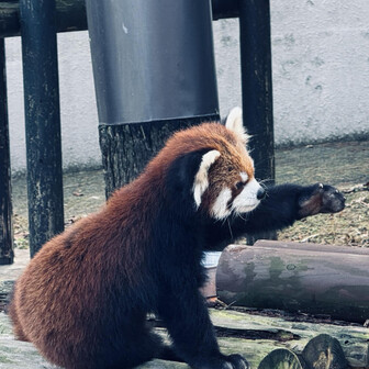 無限稜線⭐︎こーりん。