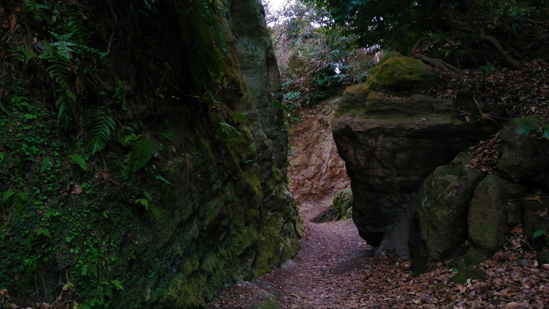鎌倉アルプス Aで要塞都市鎌倉一周 ひとり登山さんの鎌倉アルプス 大平山 天台山 の活動データ Yamap ヤマップ