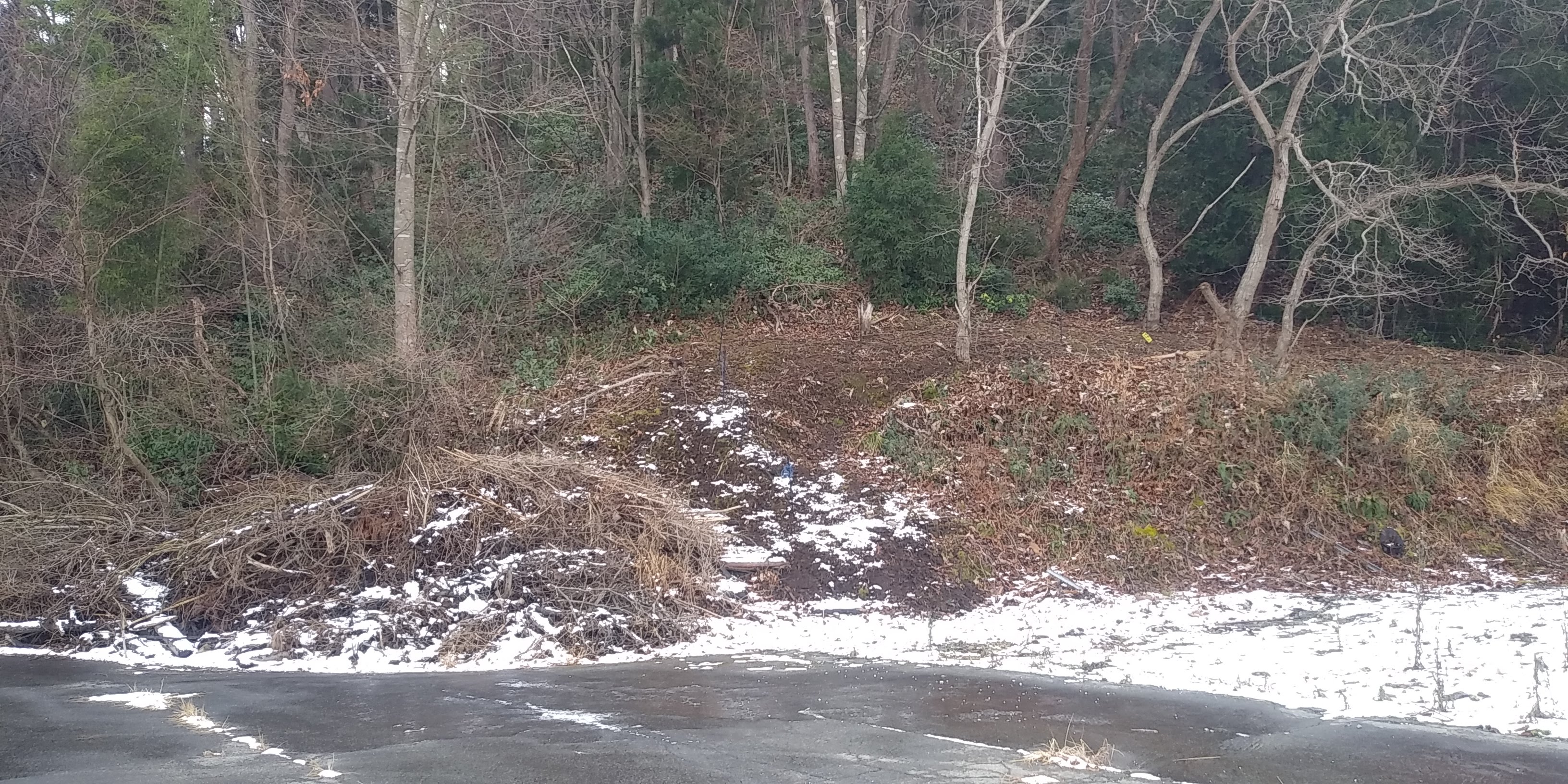 雪 山形 情報 システム 県