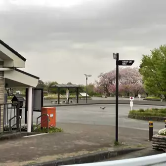大倉バス停に到着‼️
おつかれ山でした‼️
桜もチューリップも咲いていてキレイでした。