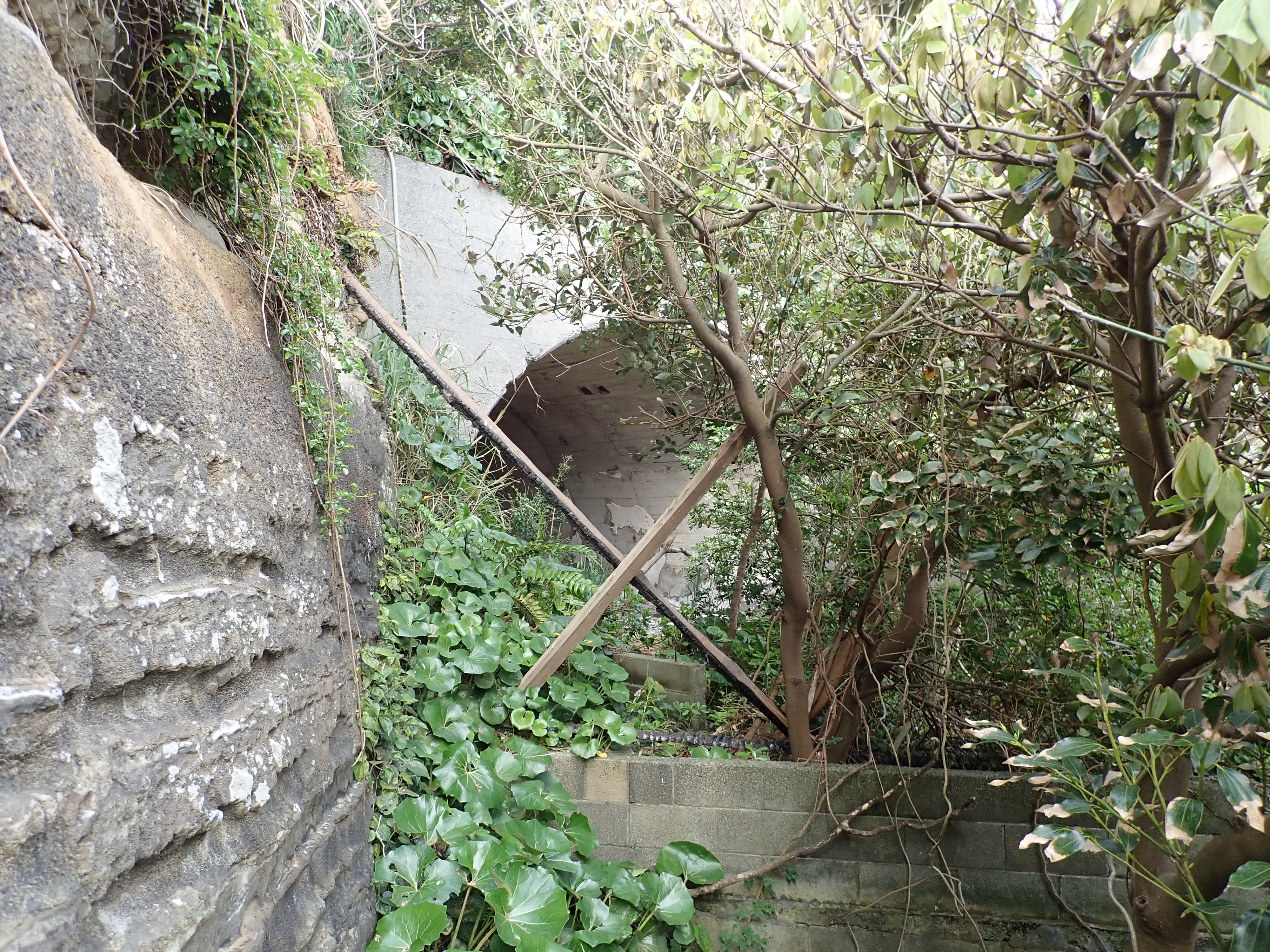 かめ壷洞窟じよくせい 9【MEDIUM】 The Cursed Thirteen Buddhas | Ghost