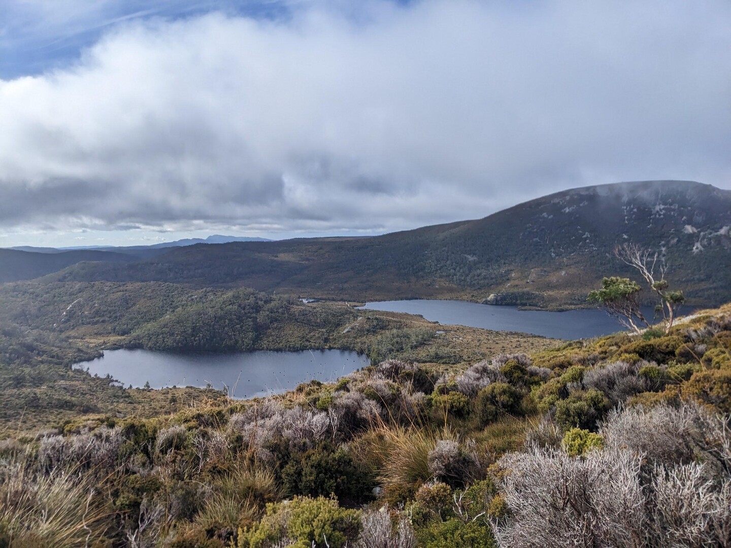 オーバーランド・トラック 北部Ronny Creek→Marions Lookout→Dove Lake Car Park / Suzumiさんのオーバーランド・トラック 北部の活動データ