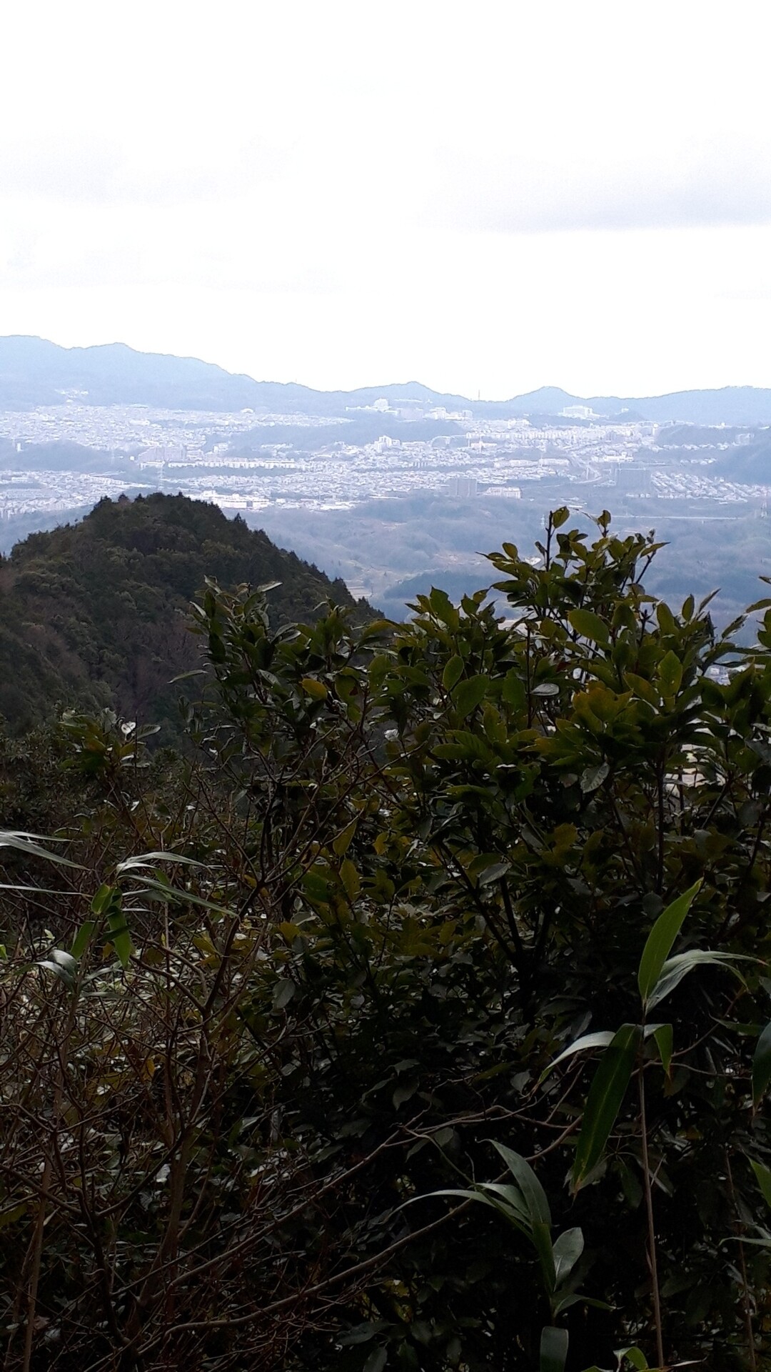 丹生山（神戸市北区）2020124 / さかちゃんさんの丹生山・帝釈山・シビレ山の活動データ YAMAP / ヤマップ