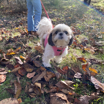 男体山 りさぽんさんの男体山の活動データ Yamap ヤマップ