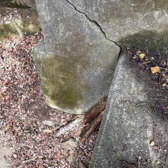 六甲山・長峰山・摩耶山 堰堤の降り口
この木に足をかけると降りやすい