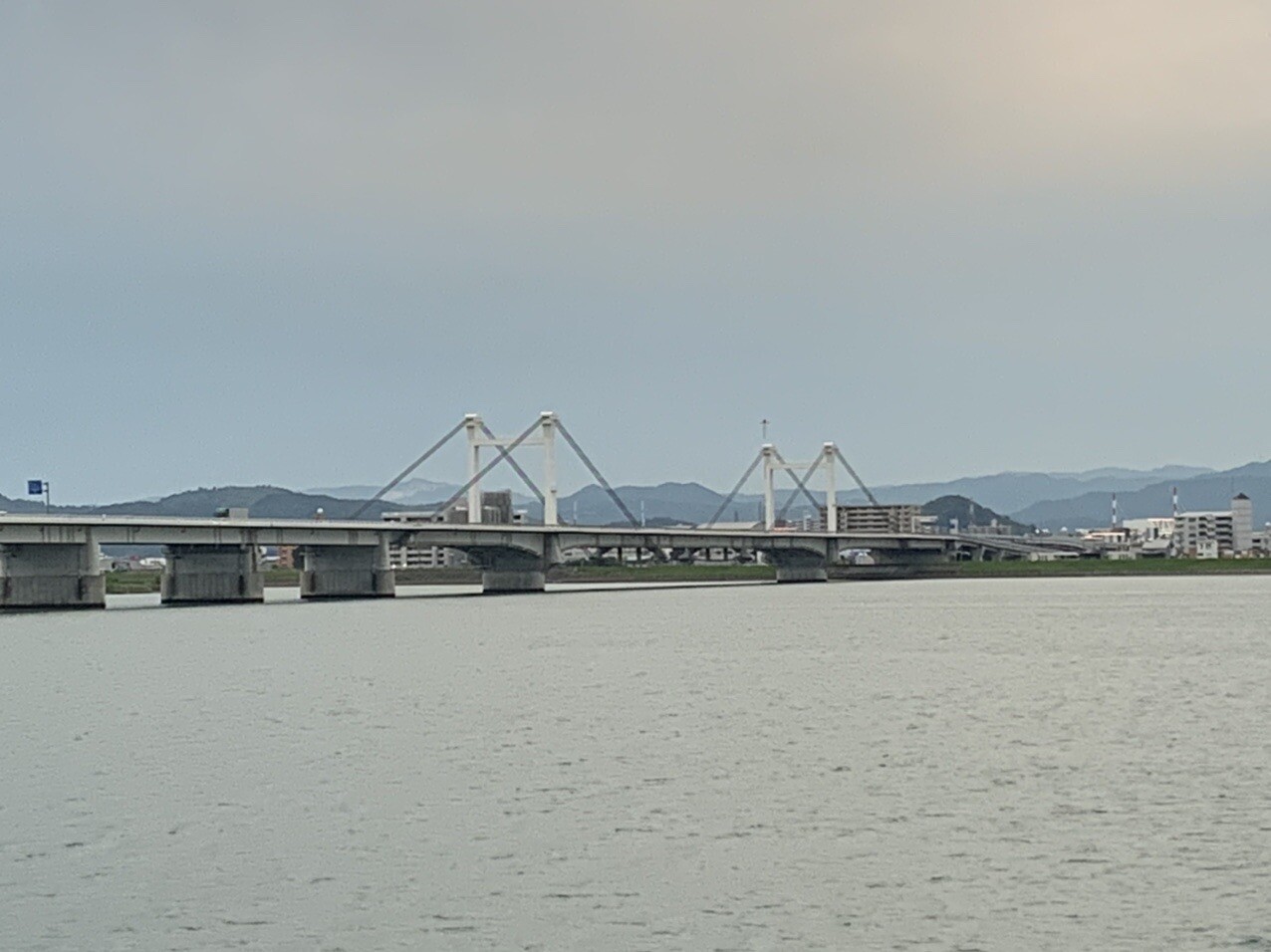 吉野川河口を歩こう はなこさんの徳島市の活動日記 Yamap ヤマップ
