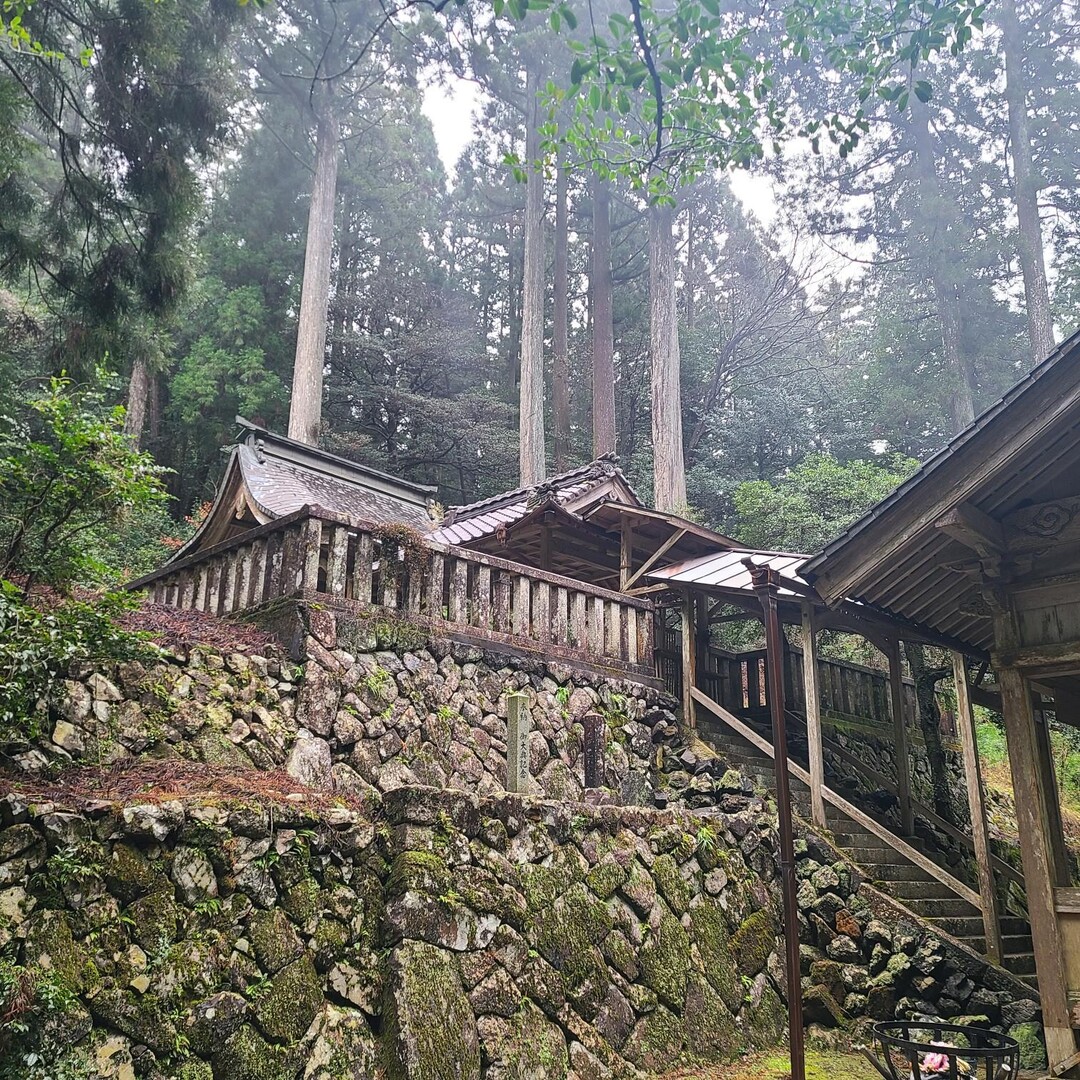 瀧神社 念願の瀧神社にお参りができてとて... / DANJOKOさんのモーメント YAMAP / ヤマップ