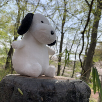 やめぴのページ Yamap ヤマップ