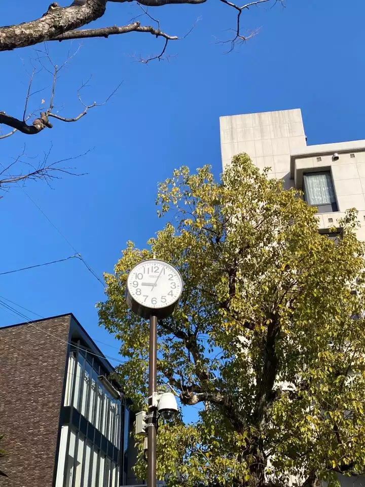 芦屋地獄谷から逆新七右衛門嵓と逆岩梯子🦍🪨🪜✨ / しま 芦屋地獄谷から逆新七右衛門嵓と逆岩梯子🦍🪨🪜✨ / しま