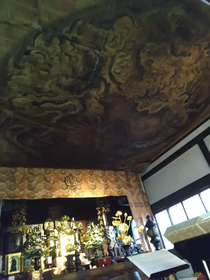 京都の雲龍(天井画)巡り1、2 / SHIN信さんのウォーキングの 京都の雲龍(天井画)巡り1、2 / SHIN信さんのウォーキングの