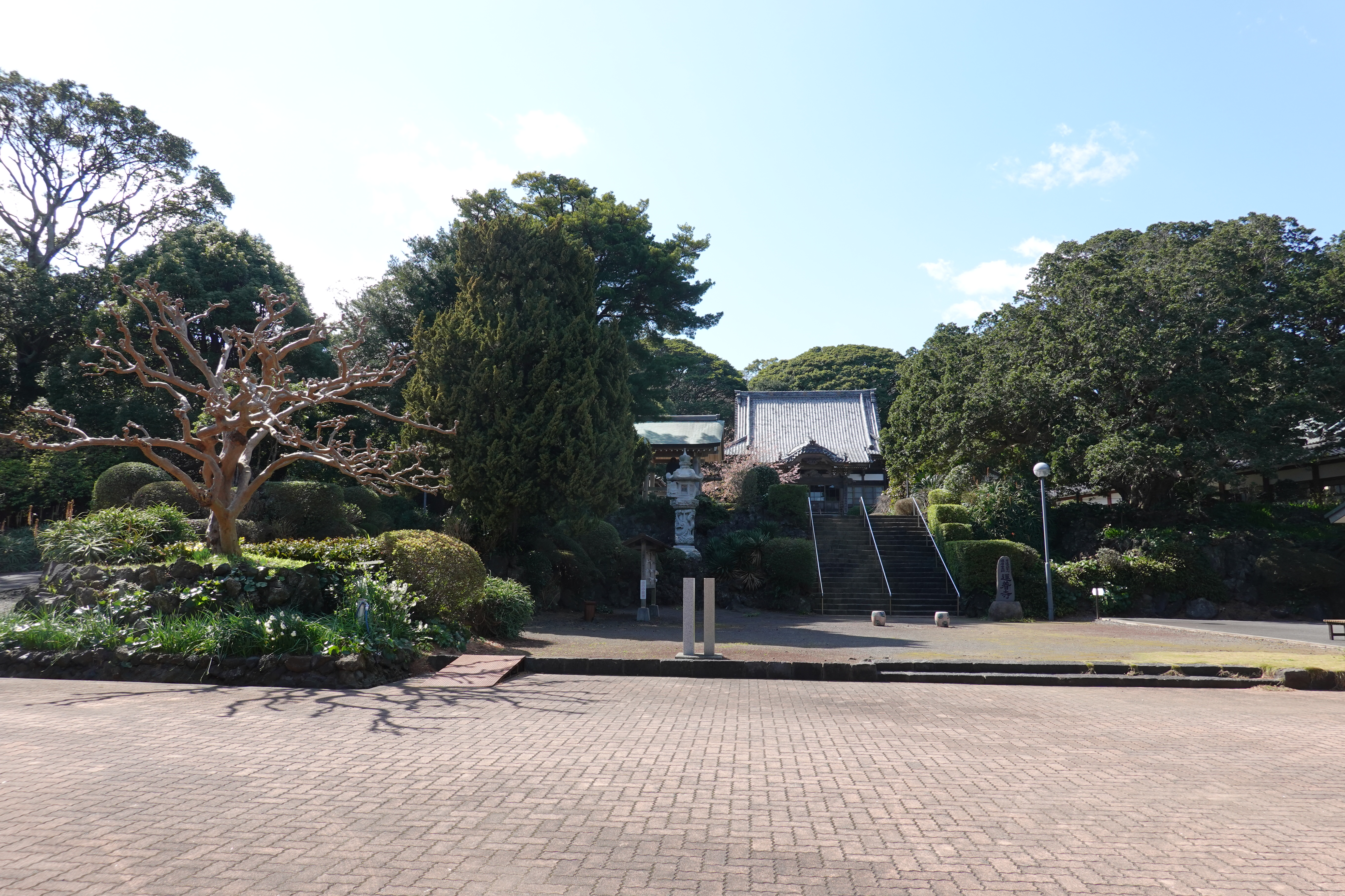 城ヶ崎海岸自然研究路コース きままにゆるりと過ごし中さんの城ヶ崎海岸自然研究路コースの活動日記 Yamap ヤマップ