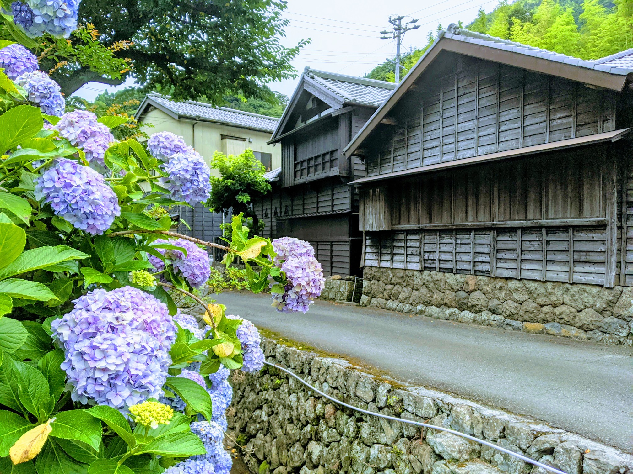 宇津の谷入口ー満観峰ー花沢の里ー焼津駅 たたどいりたさんの焼津アルプス 高草山 満観峰 花沢山 徳願寺山の活動日記 Yamap ヤマップ