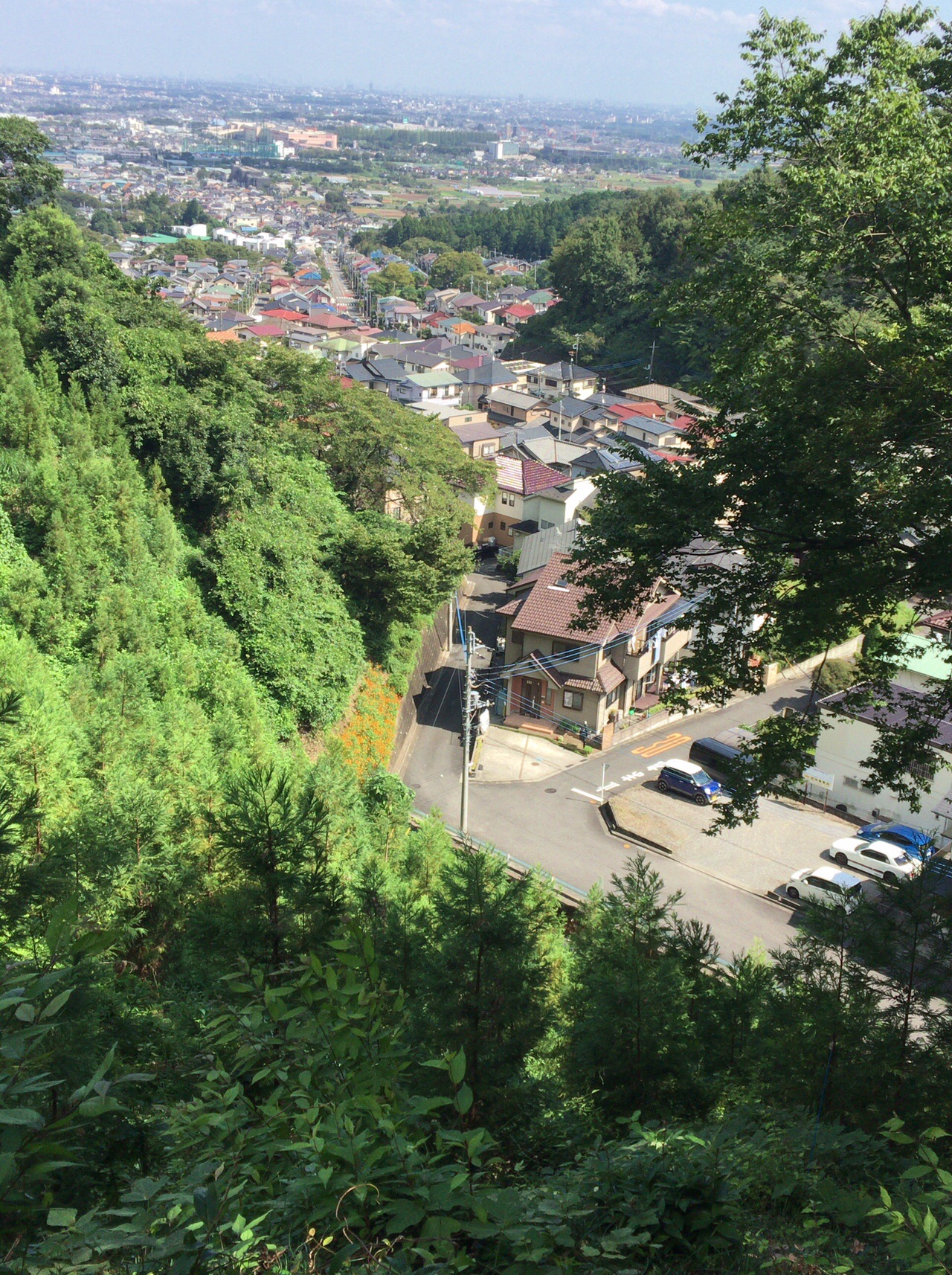 武蔵五日市駅 天竺山 唐松山 武蔵増戸駅 エル丸さんのハセツネcup 日本山岳耐久レース 71 5kmコース の活動日記 Yamap ヤマップ