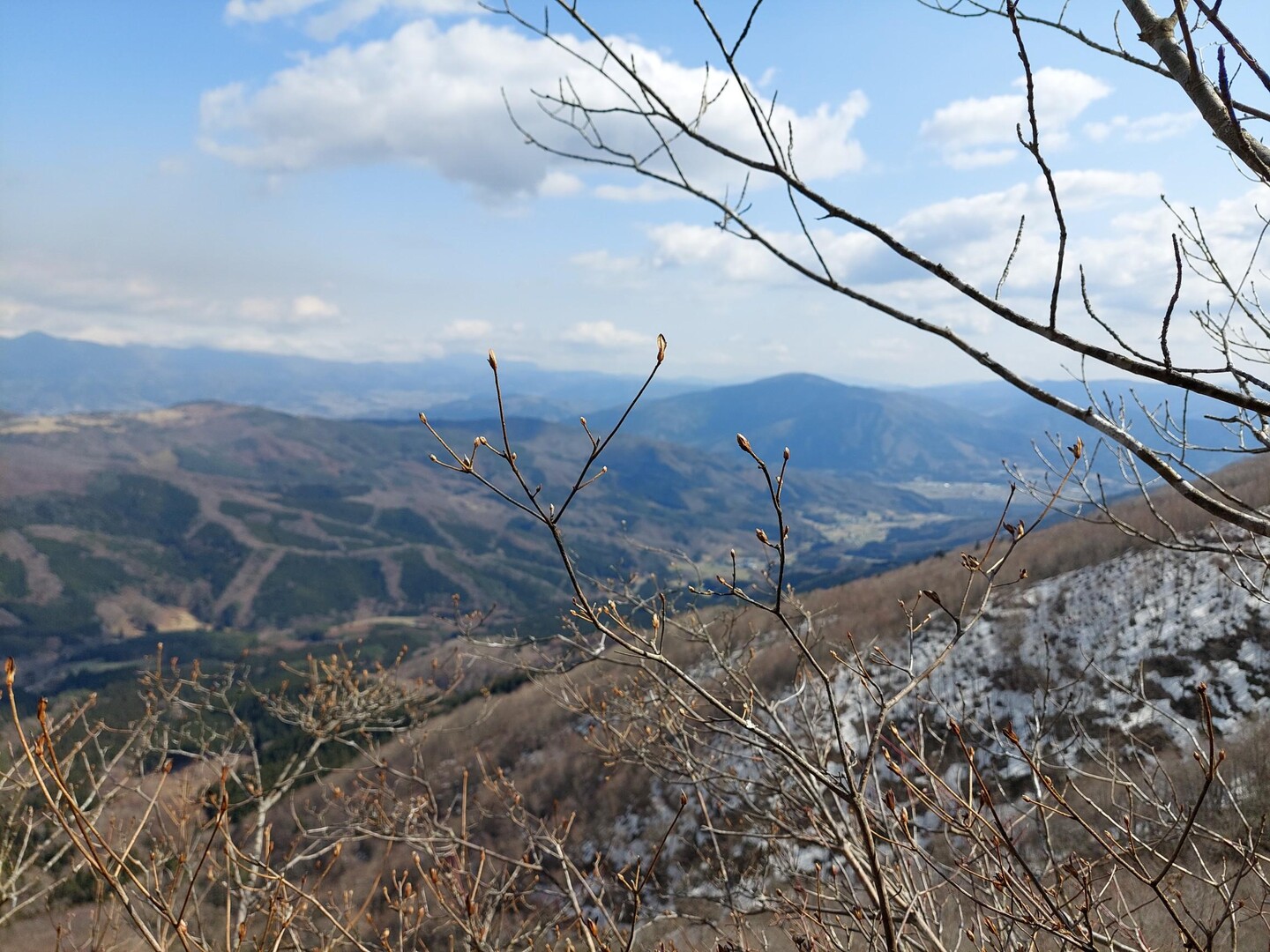 石上山 / すももさんの石上山の活動データ YAMAP / ヤマップ