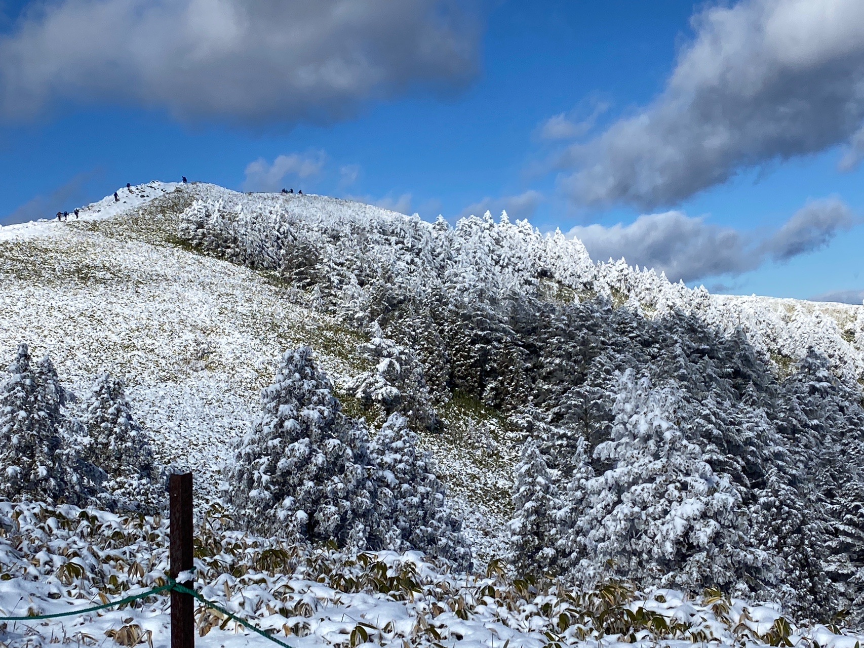 富士見台 強清水から Clearkkさんの恵那山 大判山 神坂山の活動データ Yamap ヤマップ
