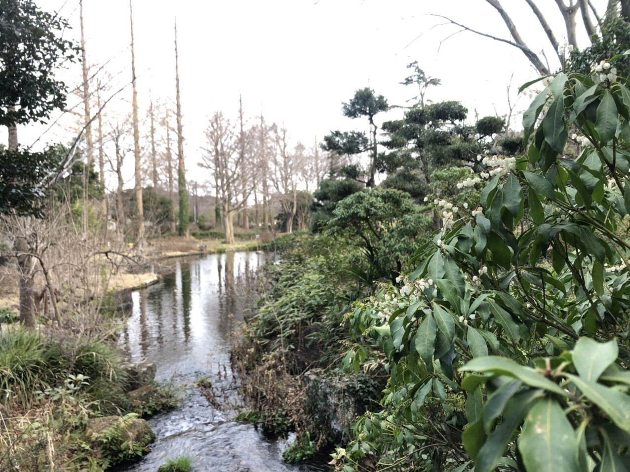 千葉市都市緑化植物園 / 千葉市の写真25枚目 YAMAP / ヤマップ