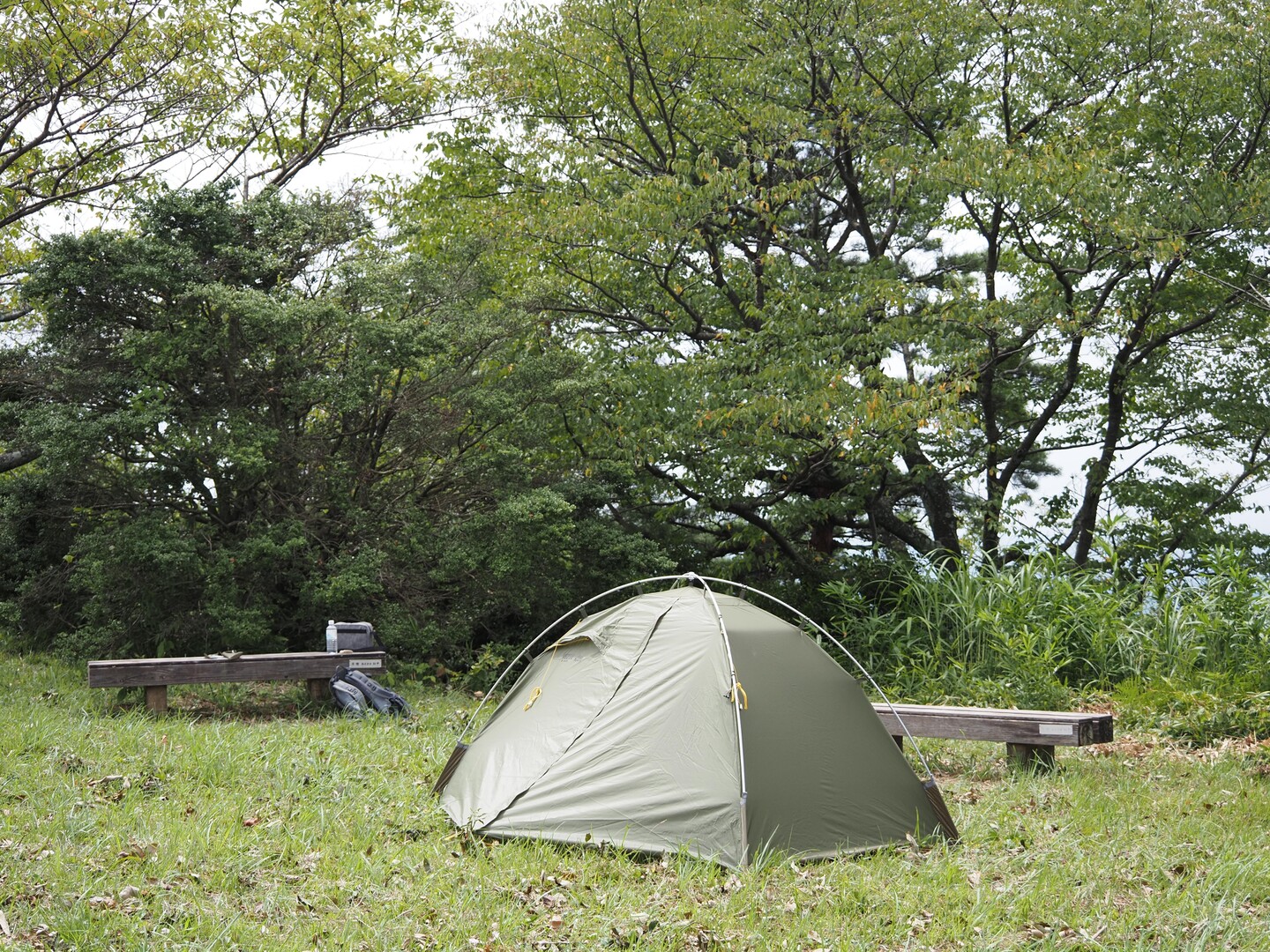 試し張りで二上山☆プロモンテVB22Z / 二上嶽さんの金剛山・二上山