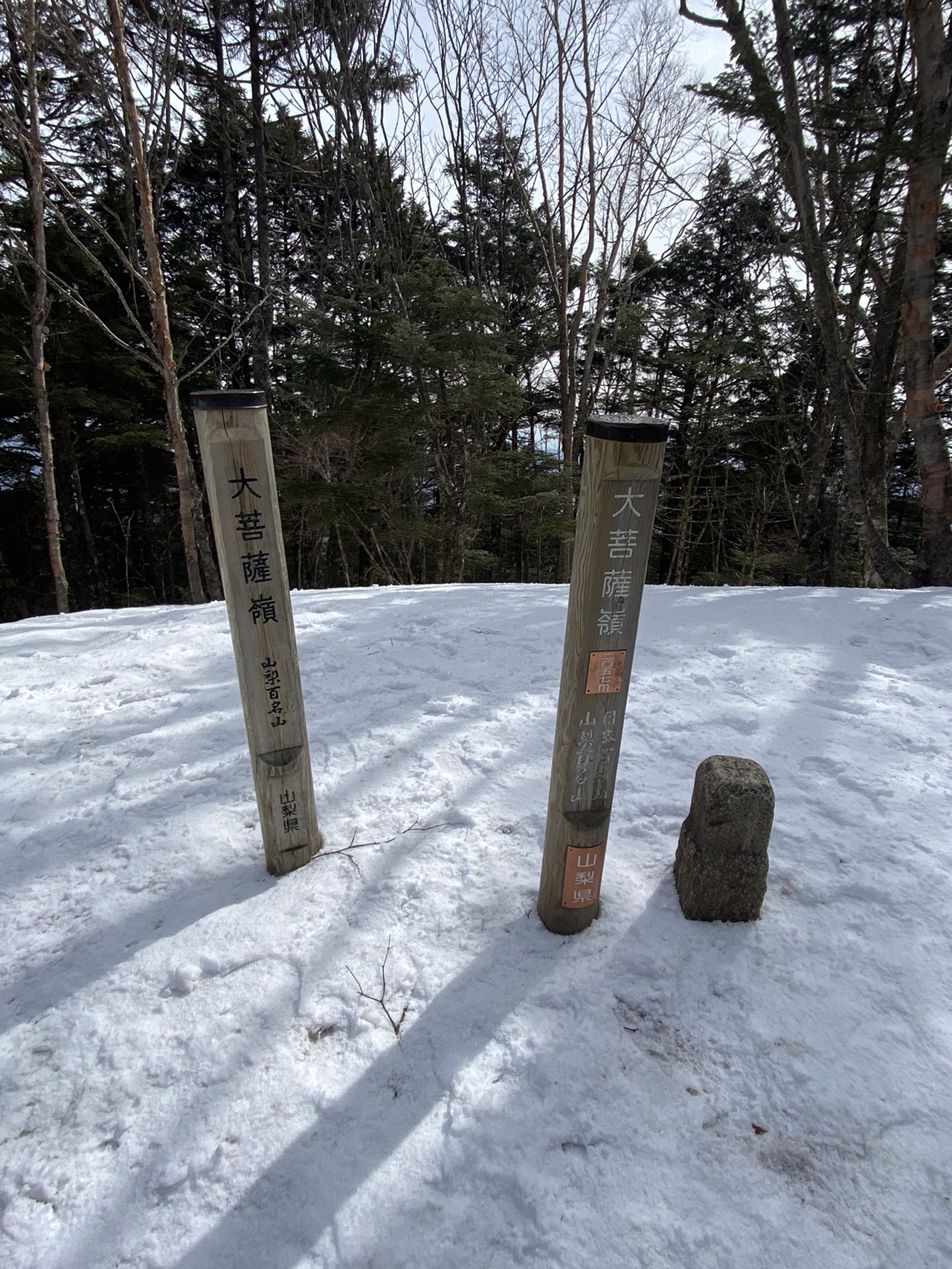 南面似菩薩北面如夜叉 大菩薩嶺 丹波大菩薩道 マオさんの大菩薩嶺 鶏冠山 大マテイ山の活動データ Yamap ヤマップ