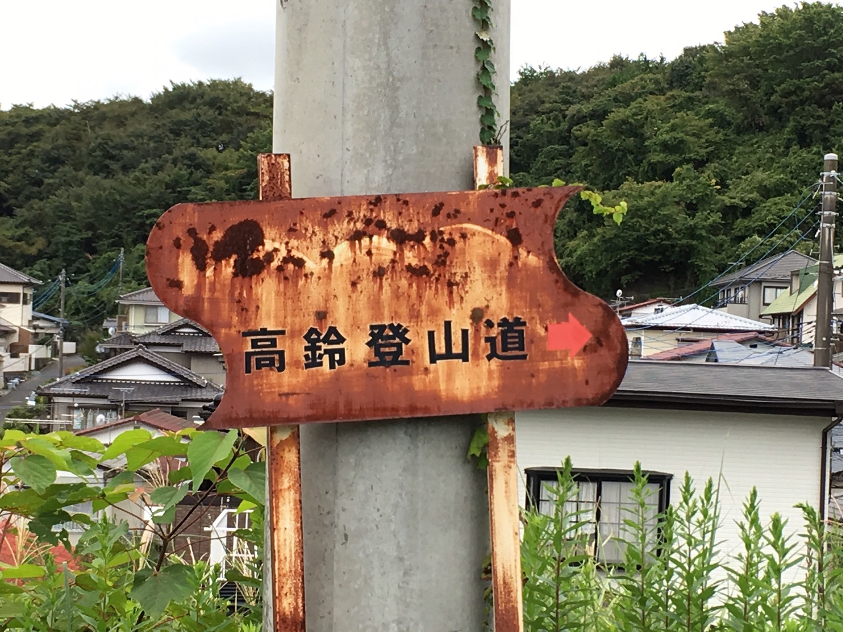 御神木　標本　極　阿古谷　最高峰 御嶽山（剣ヶ峰） | 信州Style