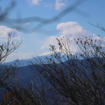 木々の先に、山頂に雲がかかった富士山がかろうじて見えました〜