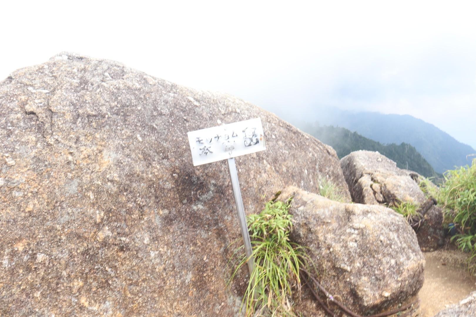 もっちょむ。 万代杉-モッチョム太郎-モッチョム岳 往復コースの地図・登山