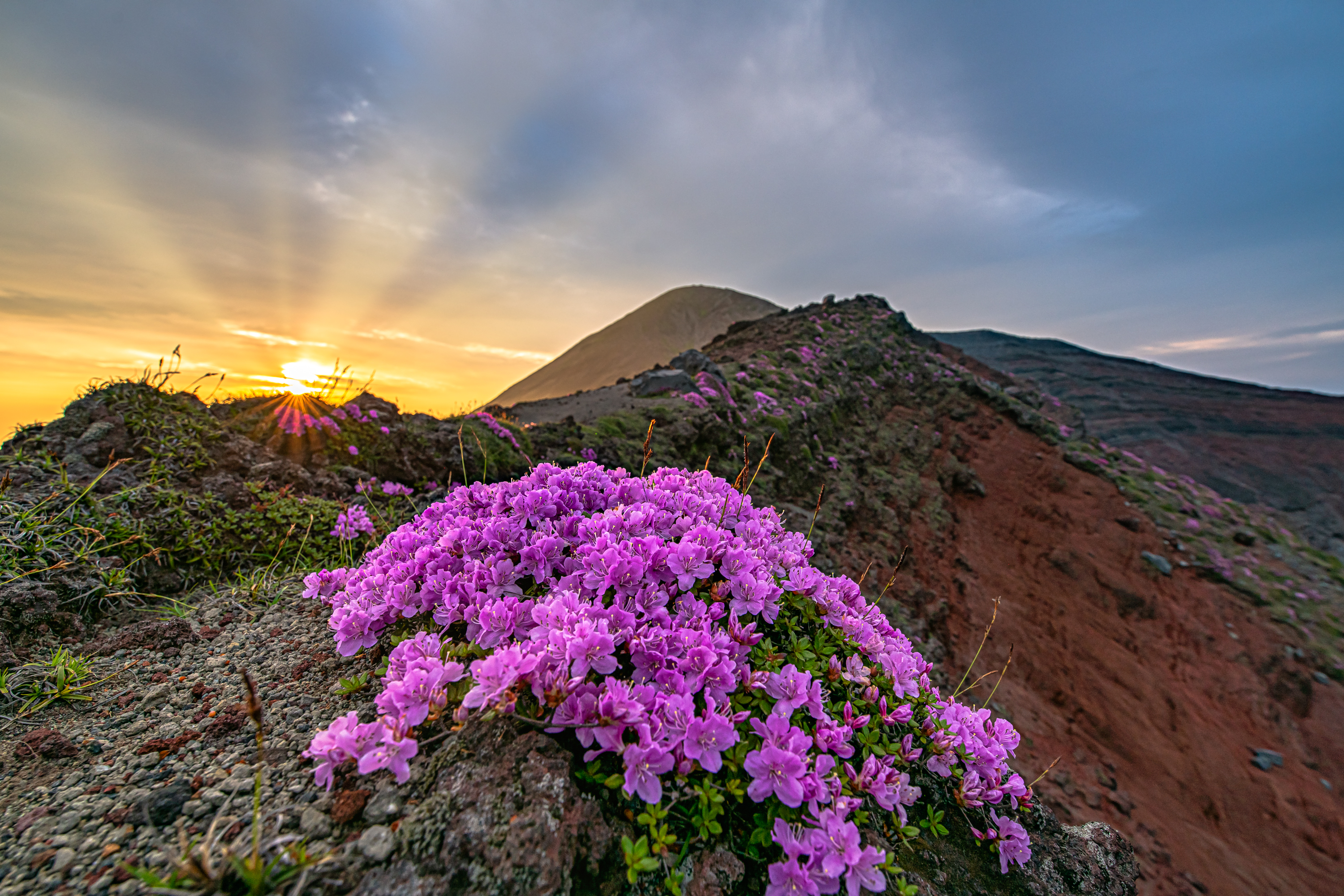 ミヤマキリシマを拝みに高千穂峰 霧島山 へ つつじコース１周 Im90さんの霧島山 韓国岳 高千穂峰 夷守岳 烏帽子岳の活動データ Yamap ヤマップ
