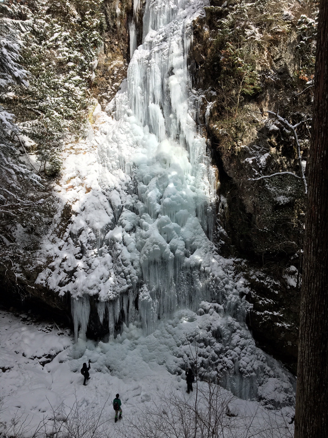 御船の滝 21 01 09 きっこさんの白屋岳の活動データ Yamap ヤマップ