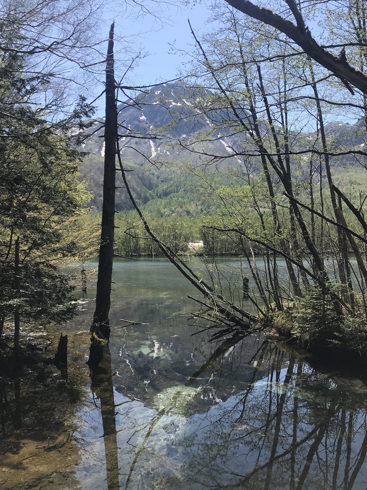 焼岳 天気良かった 19 05 25 セブン海賊団さんの槍ヶ岳 穂高岳 上高地の活動データ Yamap ヤマップ