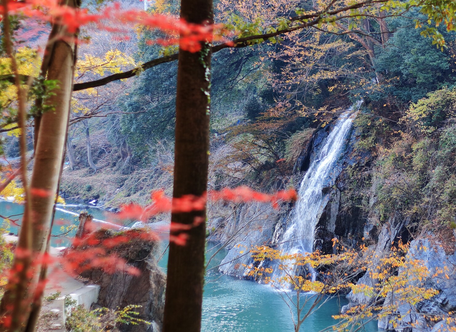 関東の耶馬渓 高津戸峡の紅葉 19 12 01 荒神山の写真6枚目 滝 Yamap ヤマップ