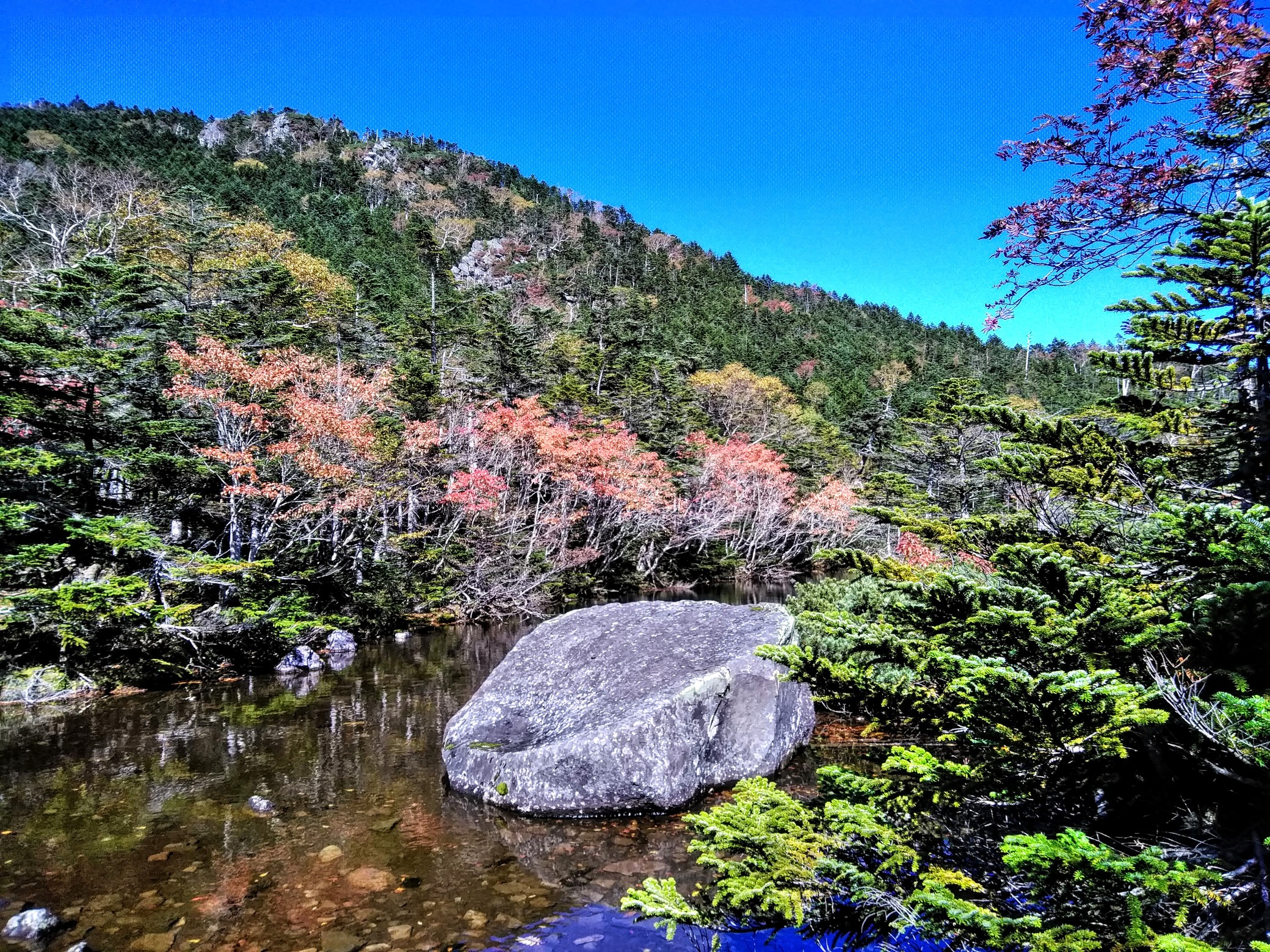 北横岳 紅葉の時も良いかも Busterさんの蓼科山 横岳 縞枯山の活動日記 Yamap ヤマップ