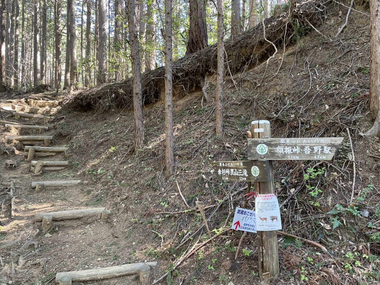 顔振峠 関八州見晴台 丸山 一人で来ちゃった アルフレッドさんの関八州見晴台の活動データ Yamap ヤマップ
