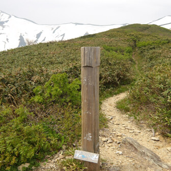 梶川峰
