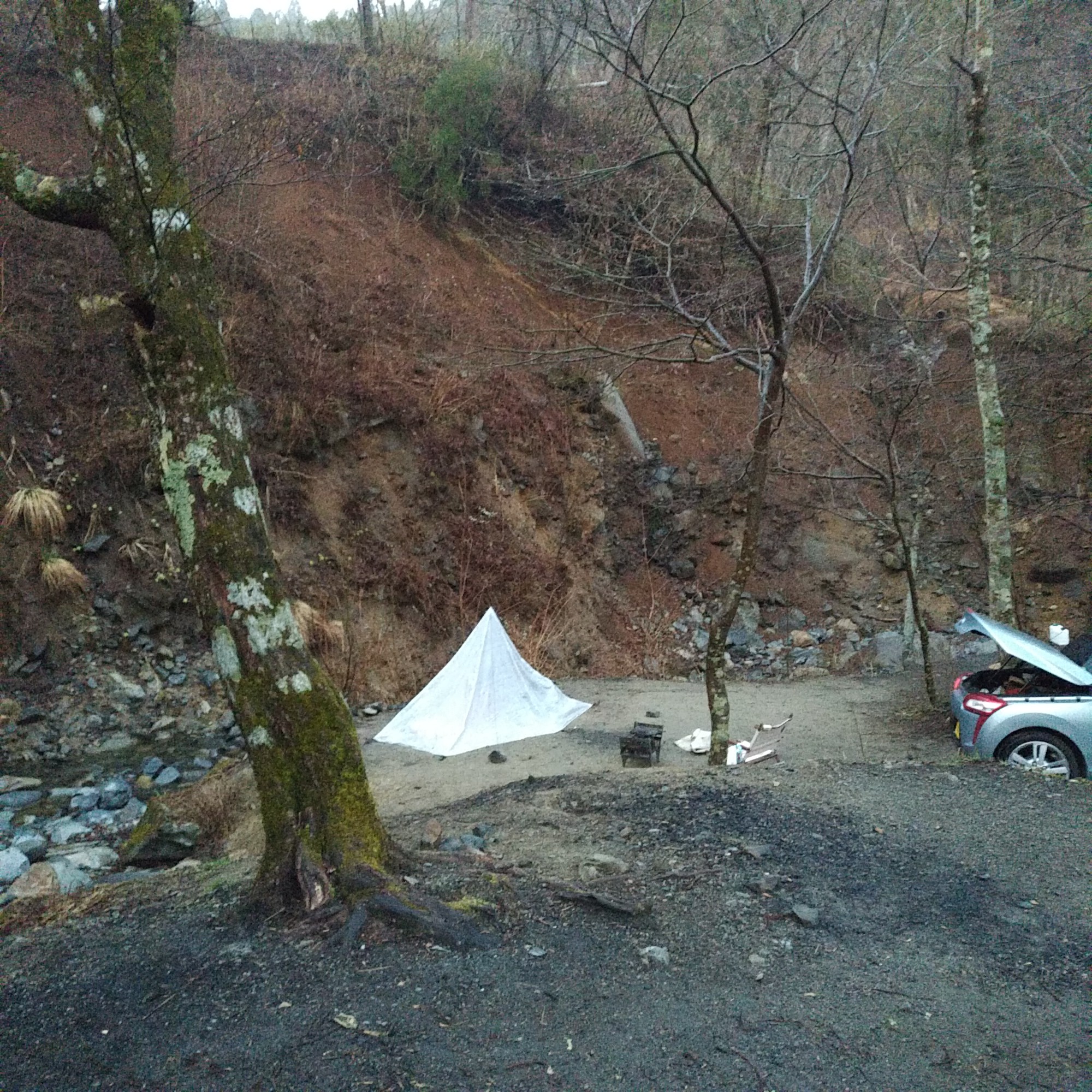 道志の森キャンプ場から菰釣山 はるれいさんの大室山 丹沢 畦ヶ丸山 菰釣山の活動データ Yamap ヤマップ