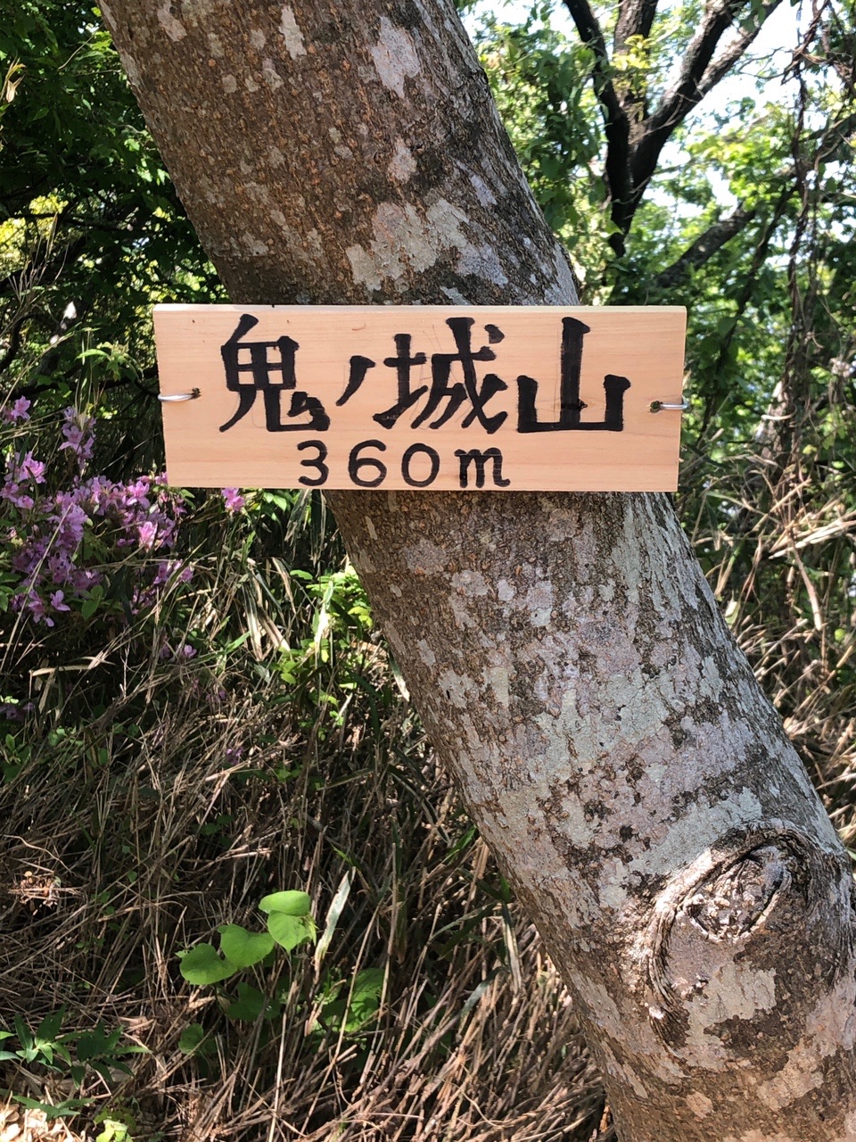 鬼ノ城山 六万寺山 三国山 旗立山 大原山 横峰山 Miさんの生駒山 神津嶽 大原山の活動データ Yamap ヤマップ