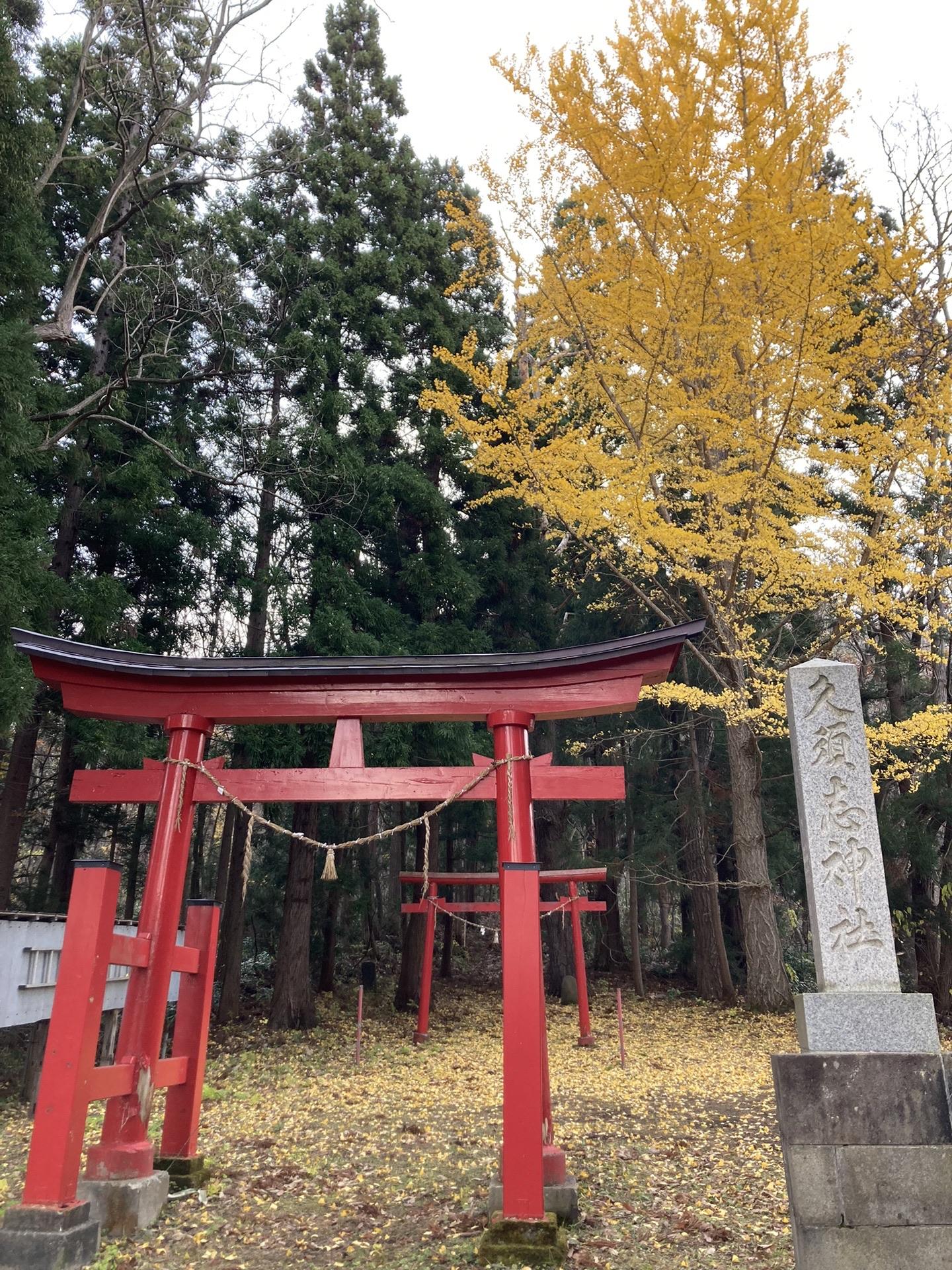 バリカン山・楢木森山 / junko(☝ ՞ਊ ՞)☝CKBさんの楢木森山・バリカン山の活動データ YAMAP / ヤマップ