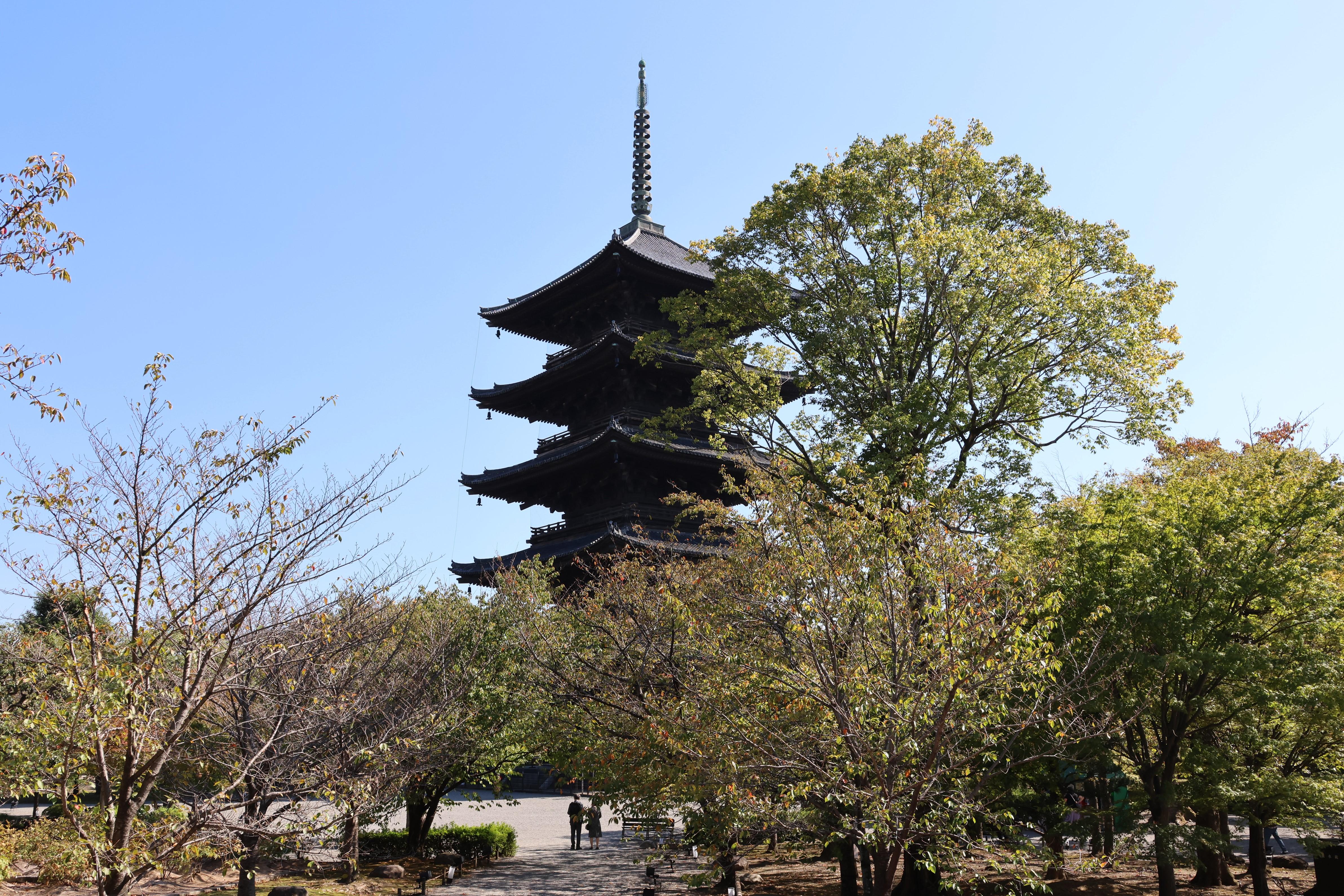 特別拝観「東寺のすべて」と「みちのく いとしい 仏たち」展、京都市 / kazz309さんの京都一周トレイルの活動データ | YAMAP / ヤマップ