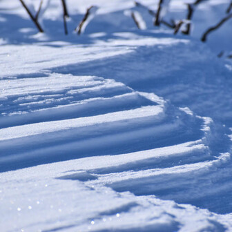 鳥海山・七高山・笙ヶ岳 こんな階段みたいなシュカブラは初めて見たかも！