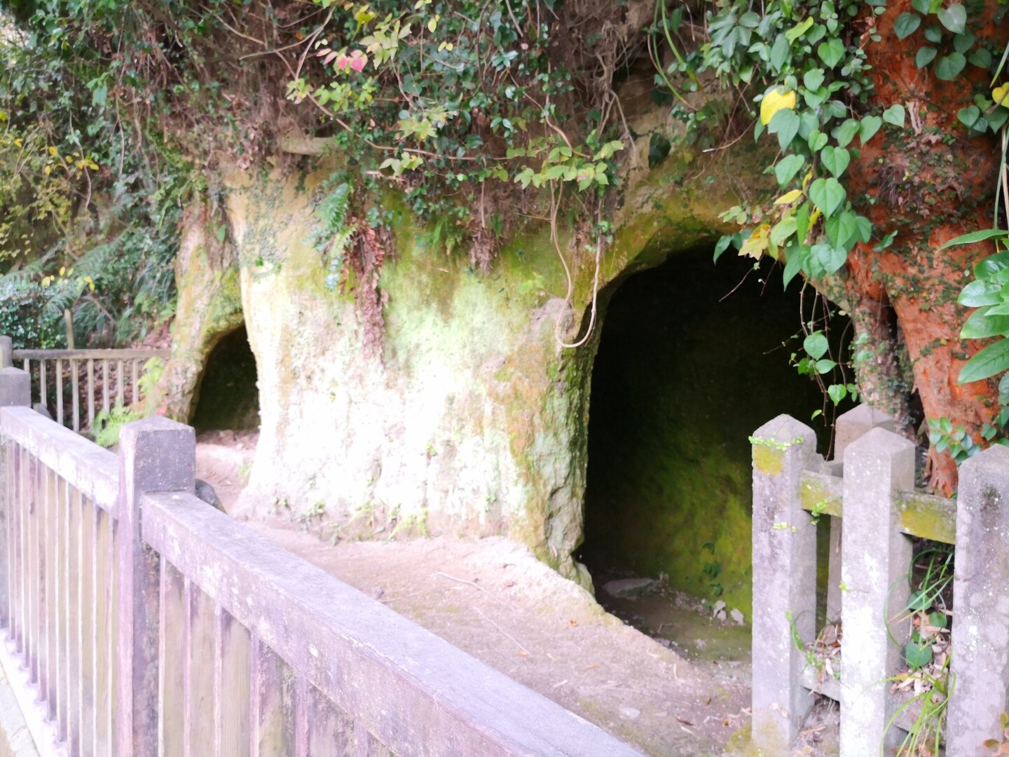 ２００名山の桜島 見るだけ たー さんの鹿児島市の活動日記 Yamap ヤマップ