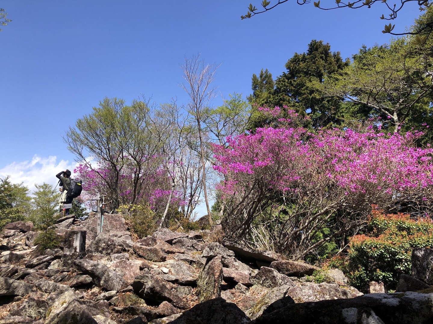 高峰山 / こやまんさんの高峰山の活動データ YAMAP / ヤマップ