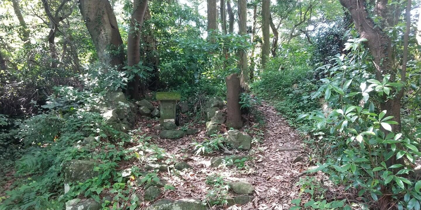 丸子富士の最新登山情報 / 人気の登山ルート、写真、天気など YAMAP / ヤマップ